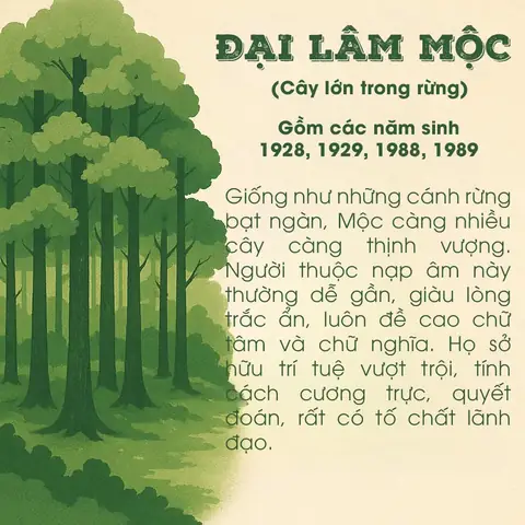 Bí Mật Phong Thủy Đại Lâm Mộc 1988 & 1989