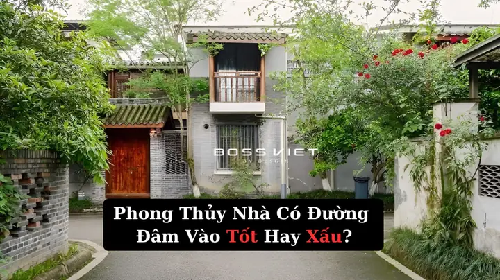 Bò Vào Nhà Theo Phong Thủy Là Tốt Hay Xấu