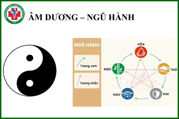 Ứng Dụng Thuyết Âm Dương Ngũ Hành Trong Phong Thủy
