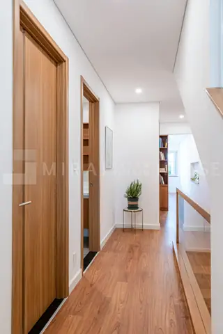 Vị Trí Đặt Cây Phong Thủy Trong Nhà