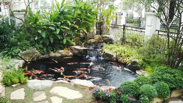 Xây Hồ Cá Hợp Phong Thủy