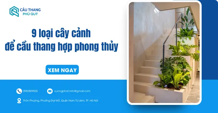 Xem Cây Cảnh Hợp Phong Thủy