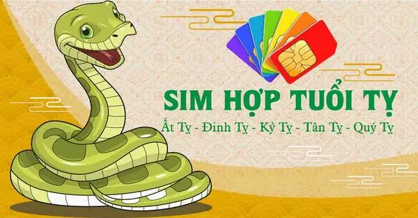 Xem Phong Thủy Sim Hợp Tuổi Kỷ Tỵ