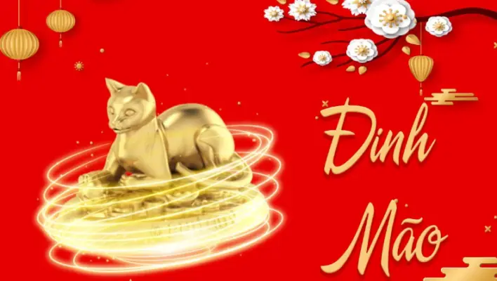 Xem Phong Thủy Tuổi Đinh Mão