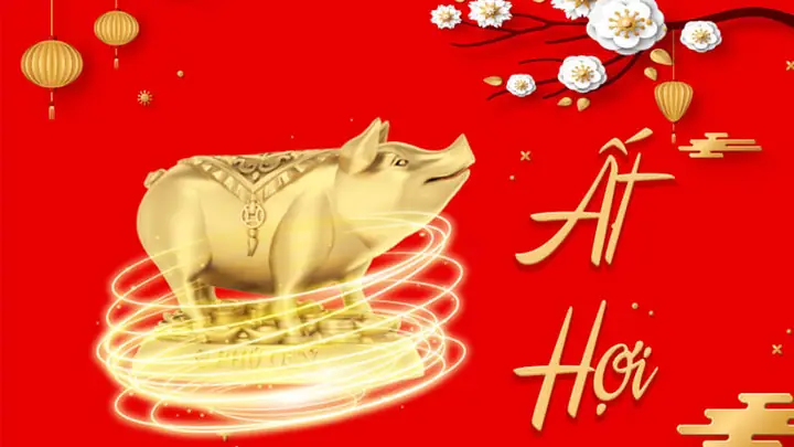 Xem Phong Thủy Tuổi Hợi 1995
