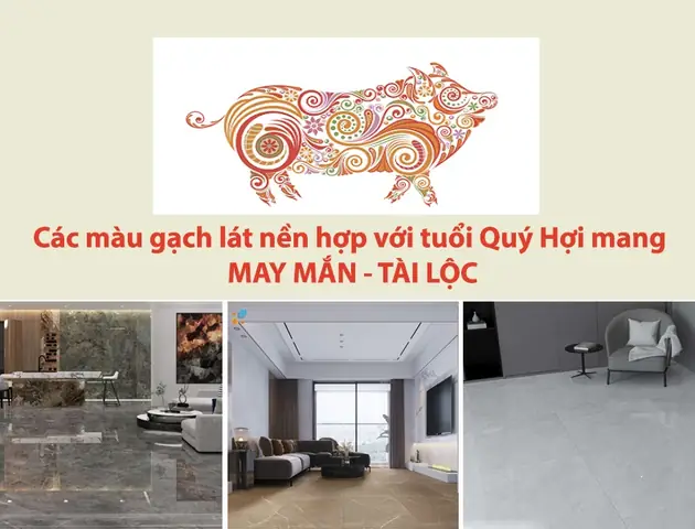 Xem Phong Thủy Tuổi Quý Hợi