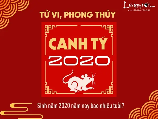 Xem Phong Thủy Tuổi Tý Năm 2020