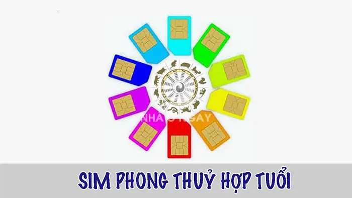 Xem Sim Phong Thủy Mệnh Kim