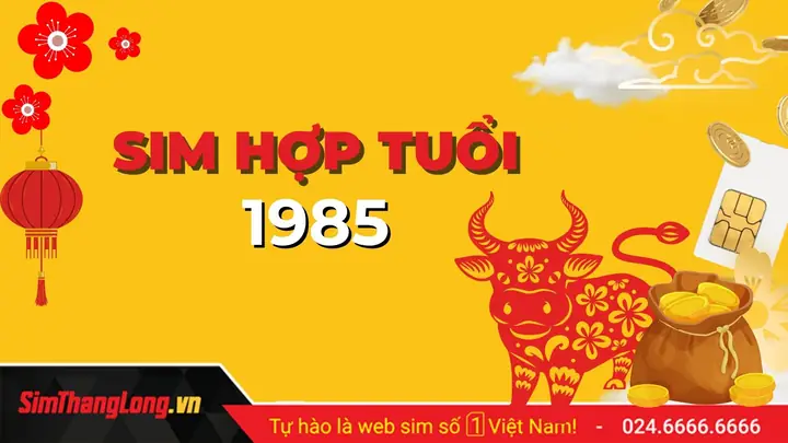 Xem Số Sim Hợp Tuổi Theo Phong Thủy