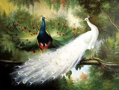 Ý Nghĩa Con Công Trong Phong Thủy