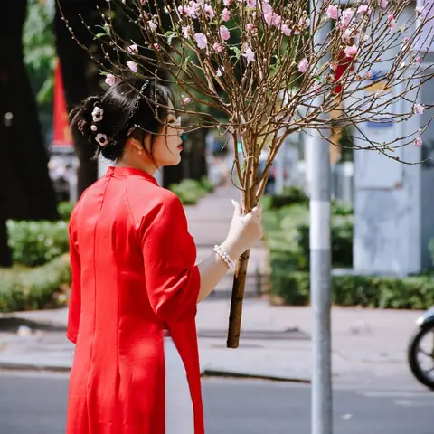 Ý Nghĩa Của Đào Trong Phong Thủy