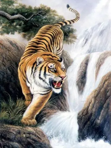 Ý Nghĩa Của Hổ Trong Phong Thủy