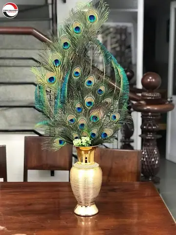 Ý Nghĩa Lông Công Phong Thủy